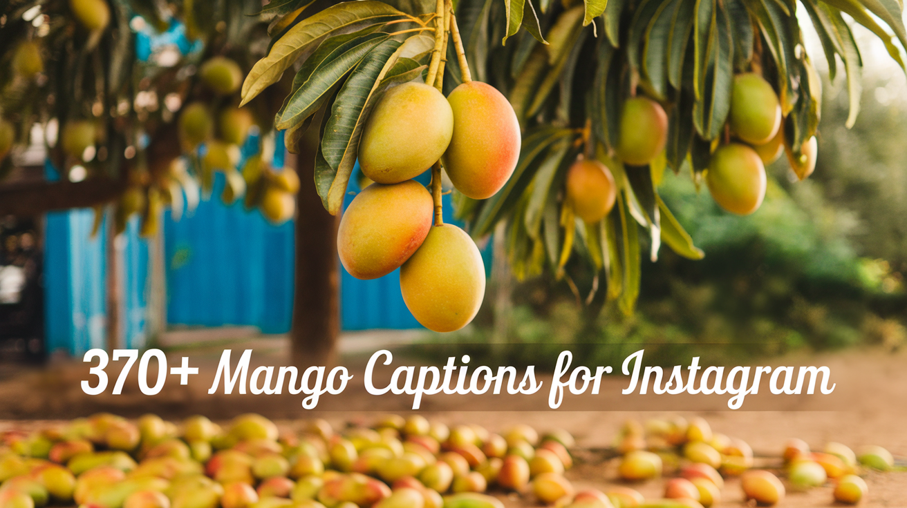 370+ Mango Captions for Instagram